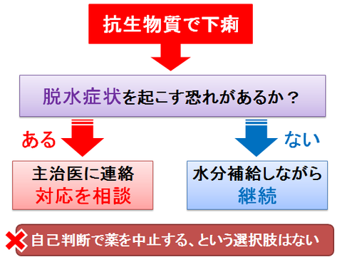 抗生物質による下痢とその対応