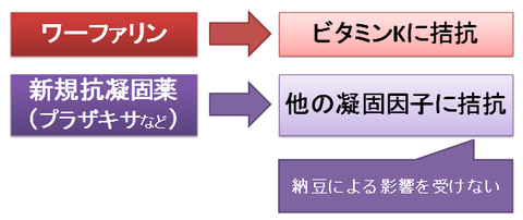 ワーファリンと新規抗凝固薬～納豆の影響