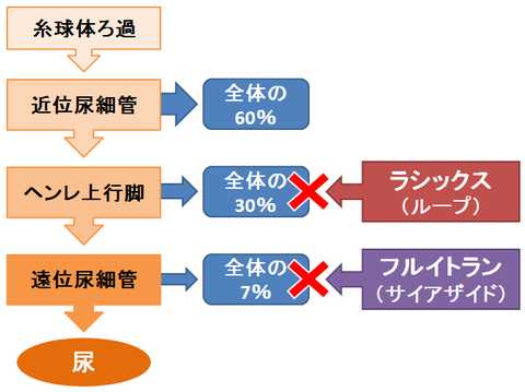 ループとサイアザイド～作用点の違い