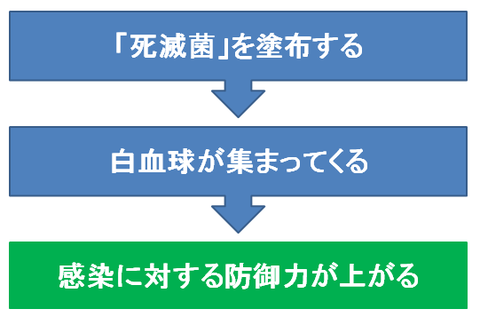 死滅菌の白血球遊走作用