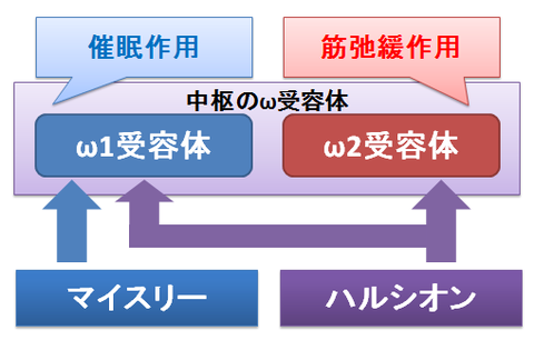 マイスリーとハルシオン～ω受容体2