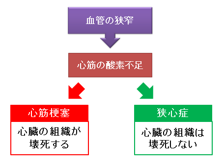 狭心症と心筋梗塞