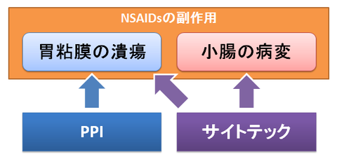 サイトテックの作用～胃粘膜と小腸病変