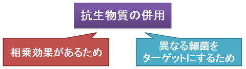 抗生物質を併用する意図