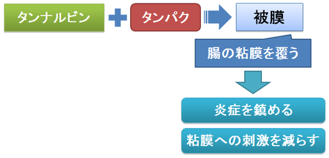 タンナルビン～収斂作用