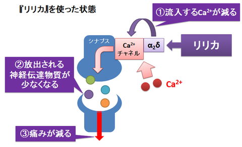 リリカの作用機序2～リリカを使った状態