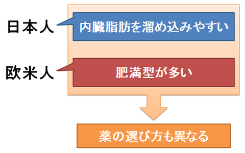 日本人と欧米人～脂肪のつき方