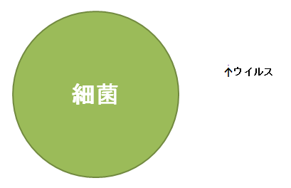 細菌とウイルス１～大きさ