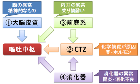 吐き気の原因による分類～嘔吐中枢を刺激する経路