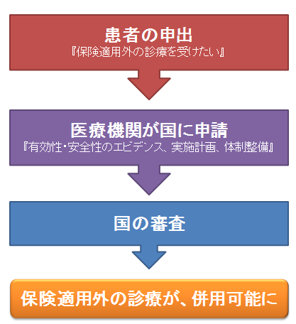 患者申出療養の流れ