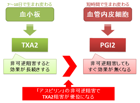 アスピリンジレンマ～非可逆阻害で起こる理由