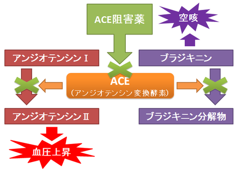 ACE阻害薬と空咳