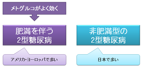 欧米と日本の2型糖尿病の背景