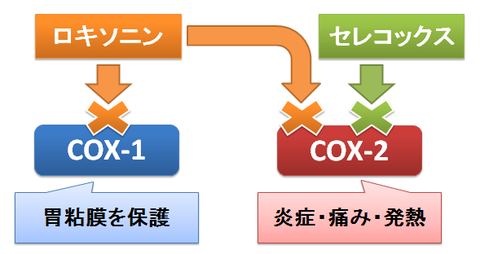 ロキソニンとセレコックス～COX