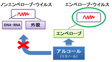 アルコールの作用点と、エンベロープウイルス