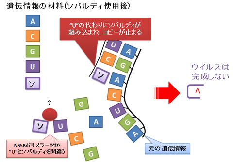 ソバルディ～チェーンターミネーター２