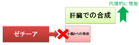 ゼチーアとスタチン～代償的な増加2