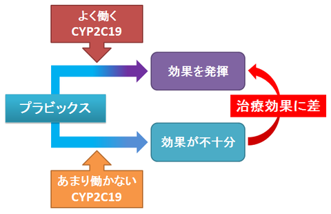 プラビックス～CYP2C19による個人差