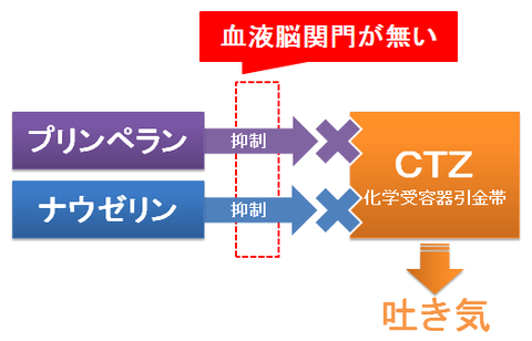 ナウゼリンとプリンペラン～血液脳関門のないCTZ