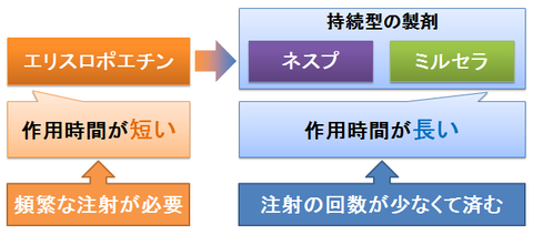 エリスロポエチンの作用時間と注射の回数