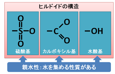 ヒルドイドの保湿効果～親水基