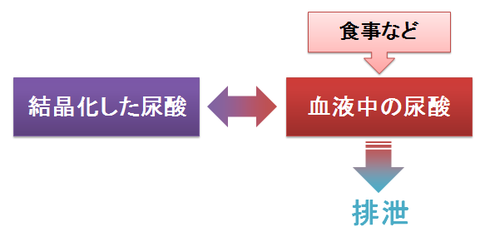 血液中の尿酸と、結晶化した尿酸