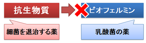 ビオフェルミンと抗生物質