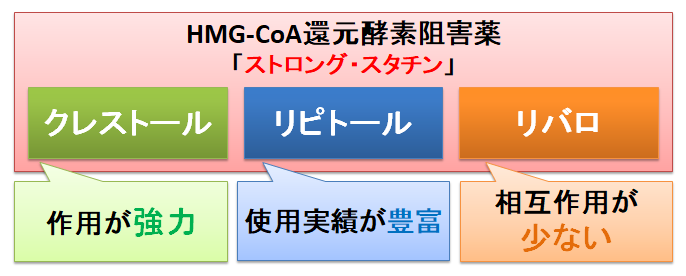 阻害 酵素 hmg 還元 薬 coa