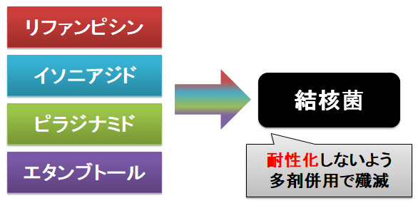 異世界薬局 の薬学考証裏話 その薬 水にするか粉にするか お薬q A Fizz Drug Information 異世界薬局 の薬学考証裏話 その薬 水にするか粉にするか お薬q A Fizz Drug Information