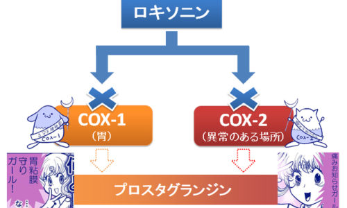 勃起不全の消耗