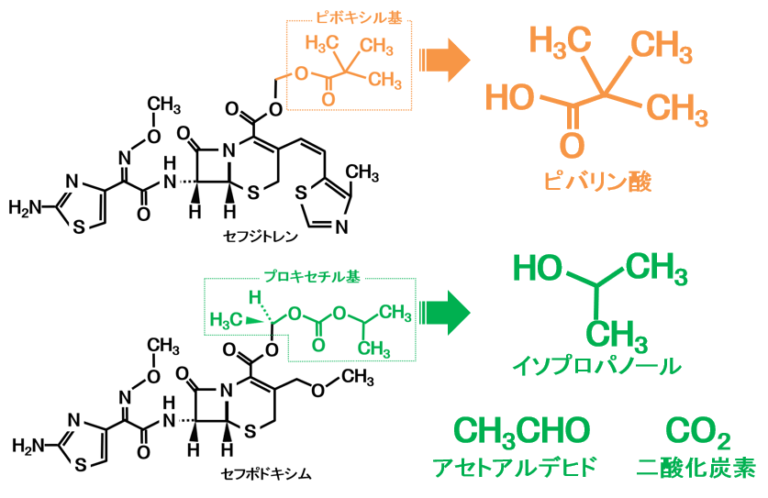 「ピボキシル基」を持つ抗菌薬で低血糖が起こるのは何故？～カルニチンと脂肪酸β酸化（糖新生）