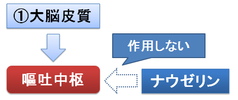 大脳皮質からの嘔吐中枢の刺激とナウゼリン