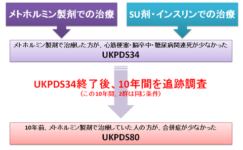 UKPDS80とメトホルミン