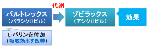 バルトレックスとゾビラックス～代謝とプロドラッグ