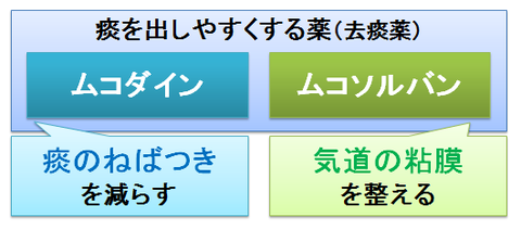 ムコダインとムコソルバン3