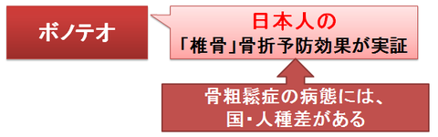 ボノテオ～日本人のデータ