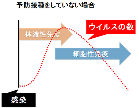 予防接種をしていない時のウイルス数