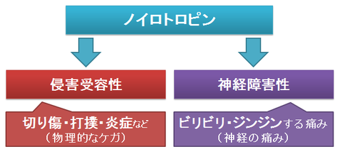 ノイロトロピン～痛みの分類