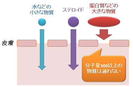 皮膚のバリア