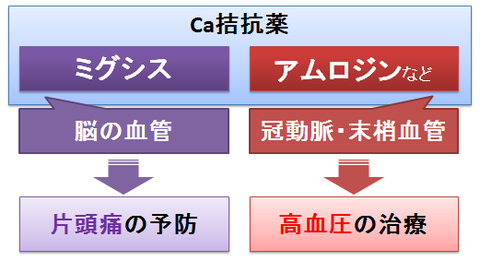 ミグシスとアムロジン～作用する血管の違い