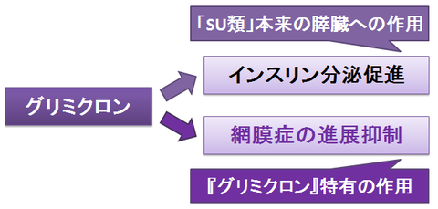 グリミクロン～SU類としての作用と、血管への作用