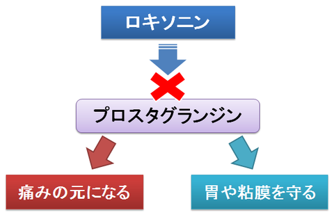 ロキソニンとプロスタグランジン