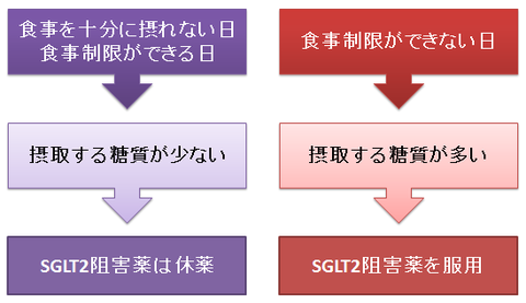 SGLT2阻害薬と食事制限