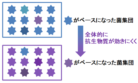 耐性菌ができるまで4