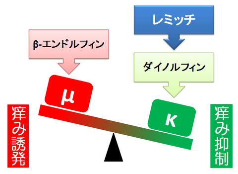 中枢性の痒み～κとμ受容体のバランス