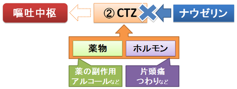 CTZを介した吐き気とナウゼリン2～薬の副作用やつわり