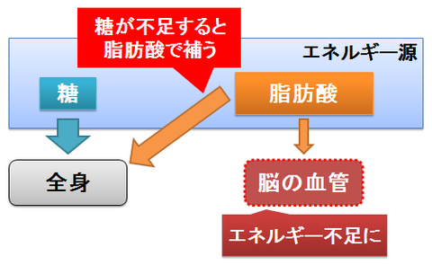 糖と脂肪酸のエネルギー