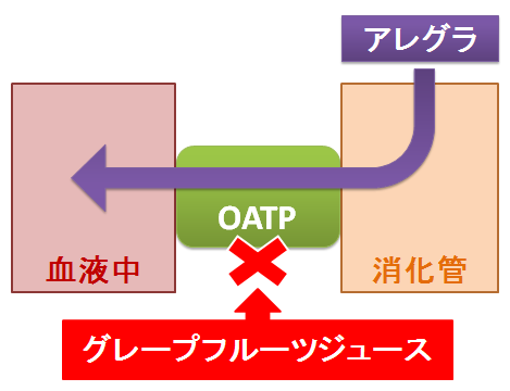 アレグラとグレープフルーツジュース