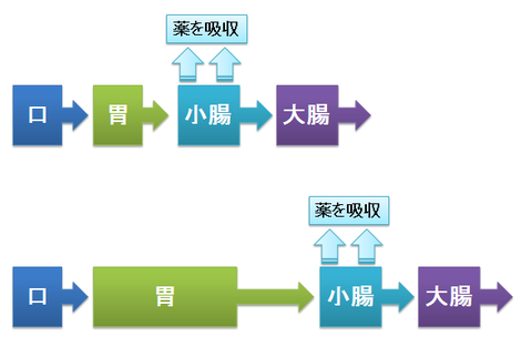 薬の吸収と、胃内容排泄