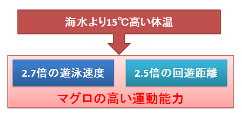 マグロの高い運動能力と高い体温